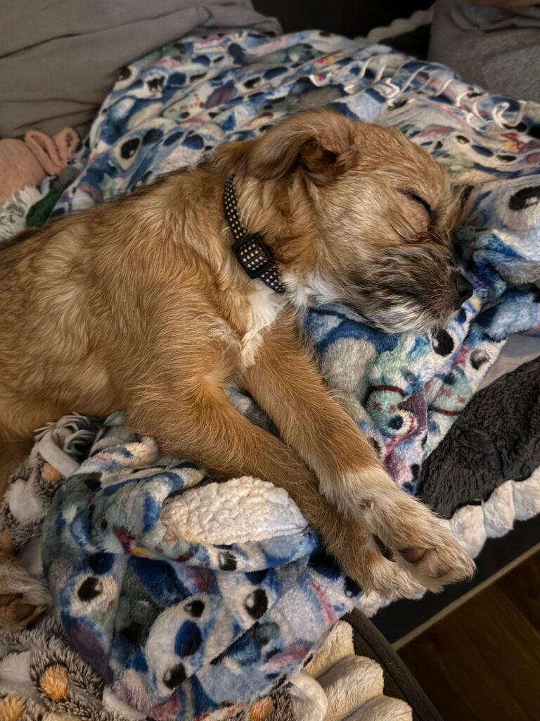 Eb1cd7f1 5499 4bee 9891 93545ef33552