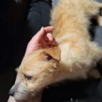 0c726a88 533b 45ce 9c6f 41d7382e72d9