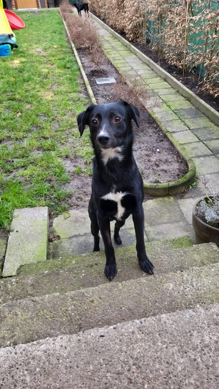 0c8747c7 e07b 4068 becd f21e4cda7c2c