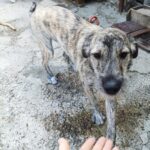 23cb52b1 1d70 4784 b9ab 107306cf0e95