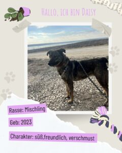 29f41548 ccb3 408b a9fb 7b7cb60403f1