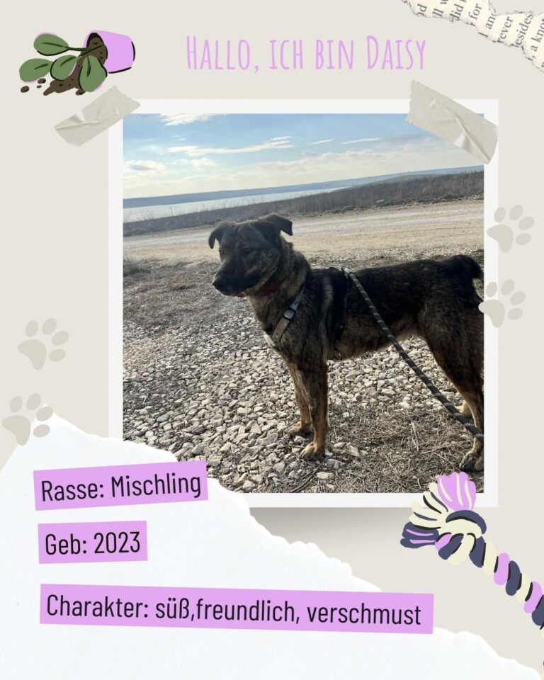 29f41548 ccb3 408b a9fb 7b7cb60403f1