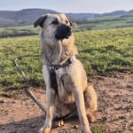 2de6ff87 5332 4753 8153 e698f0fb0e7a