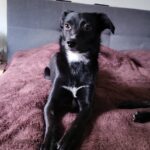 2f70247b 3aec 436e a70d af9e881831ed