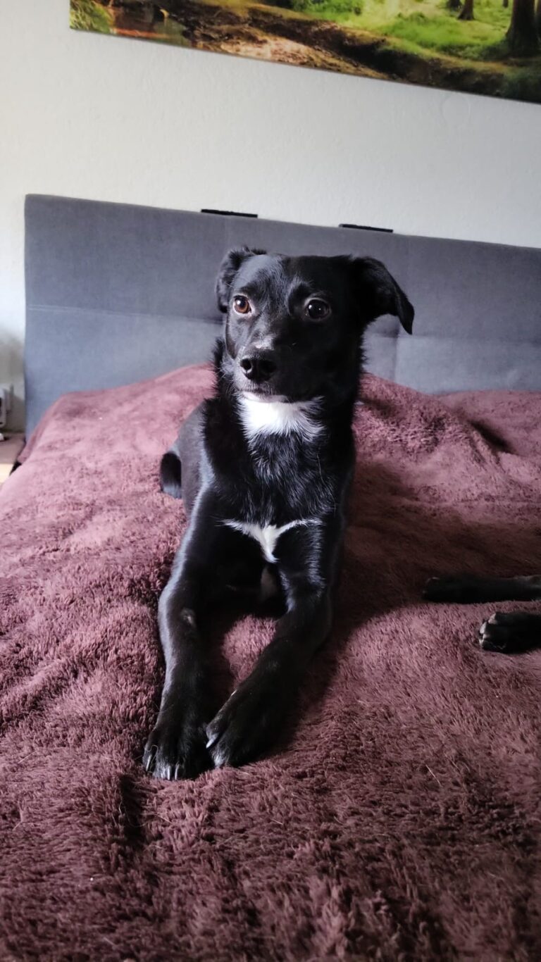 2f70247b 3aec 436e a70d af9e881831ed