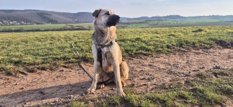 459da744 bc08 48c9 a2fc 5233800497b8