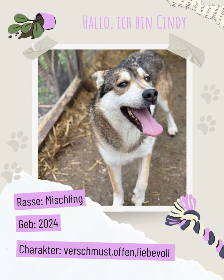 4c680674 5ffb 4150 96ee faf2d0a77aff