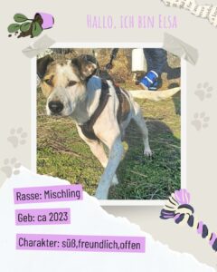 628cd753 672f 4aa9 ab3e d9b2768eef09