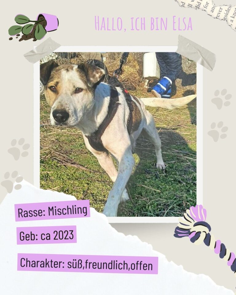 628cd753 672f 4aa9 ab3e d9b2768eef09