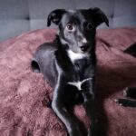 86a68efe e491 4414 8940 6c63a116a1ae