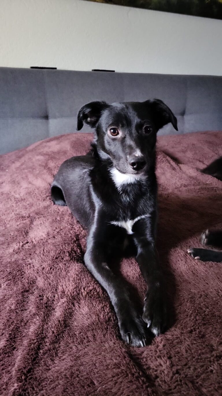 86a68efe e491 4414 8940 6c63a116a1ae