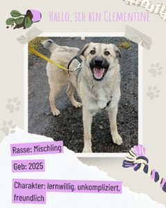 8b2d26cc bf17 429f ada4 a0e72e0f7d2f