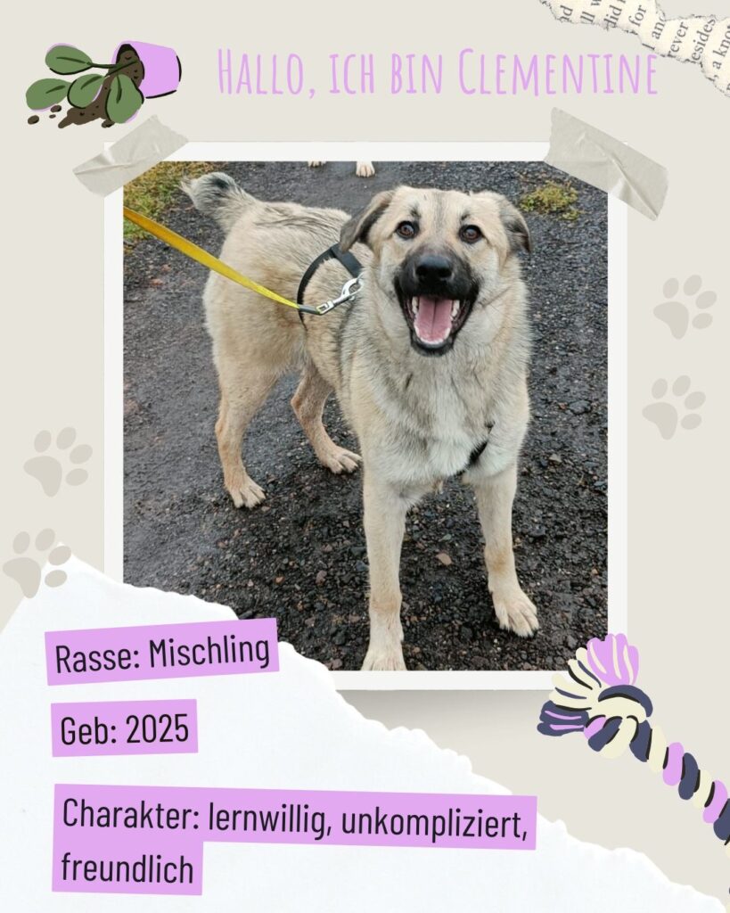 8b2d26cc bf17 429f ada4 a0e72e0f7d2f