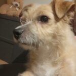 8b66a1b8 c8d1 4748 a69d 2b3bce69d05e