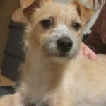 8c027259 79b7 4e43 9057 9989d73fa839