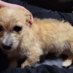 8dea4cee f54c 4043 bcc3 f2ec3ac26c4c