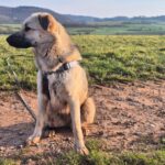 9d4d4dc6 bf73 47e3 b605 41eee7a8542e