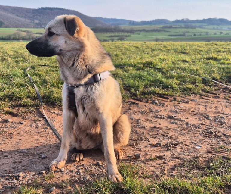 9d4d4dc6 bf73 47e3 b605 41eee7a8542e