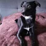 9f89fe5b 65d1 4719 9938 f16a27252ea6