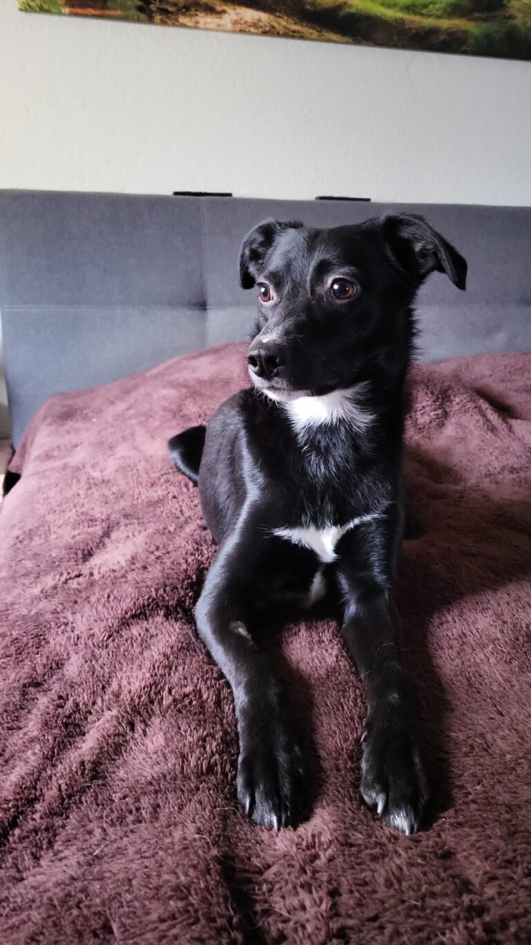 9f89fe5b 65d1 4719 9938 f16a27252ea6