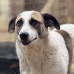 Fb img 1771400945618