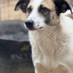 Fb img 1771400948297