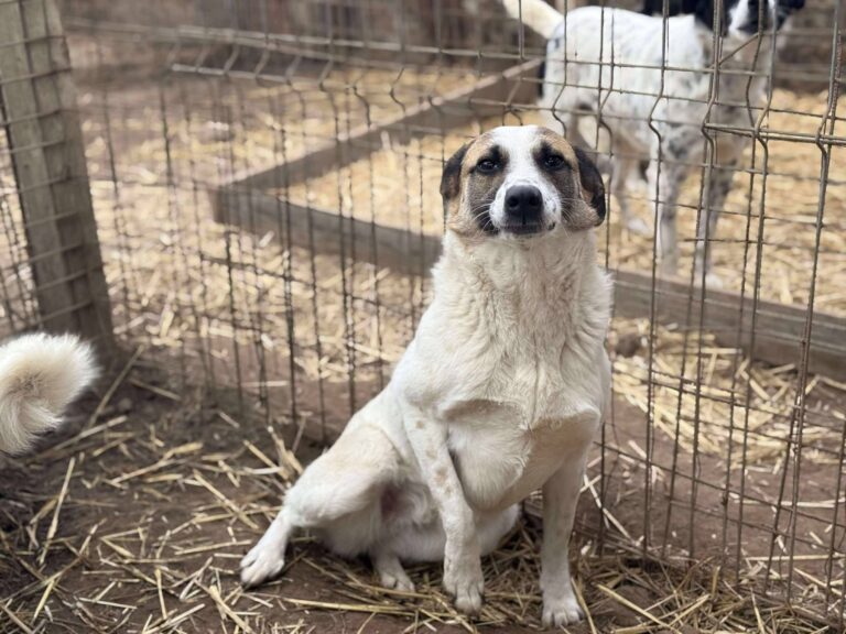 Fb img 1771400951357