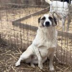 Fb img 1771400951357