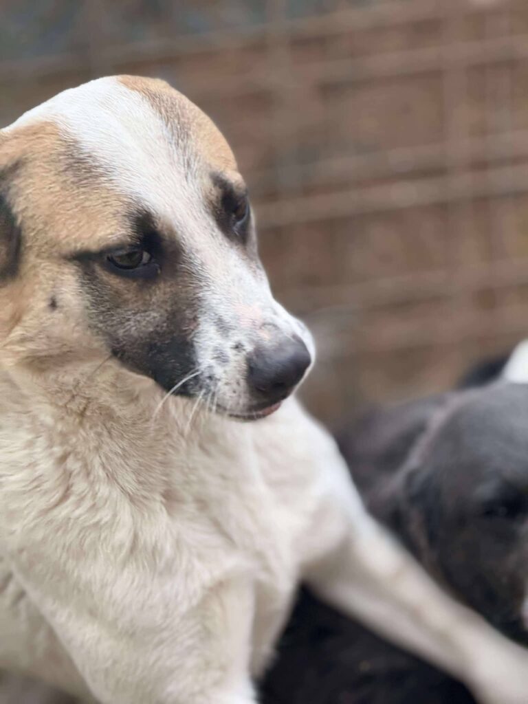 Fb img 1771400954088