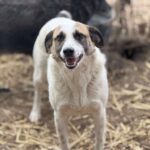 Fb img 1771400956640