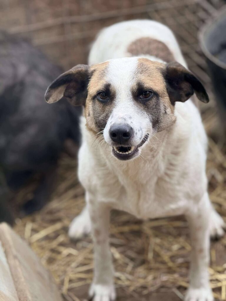 Fb img 1771400959199