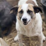 Fb img 1771400959199