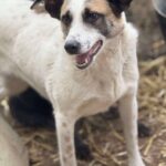 Fb img 1771400961952