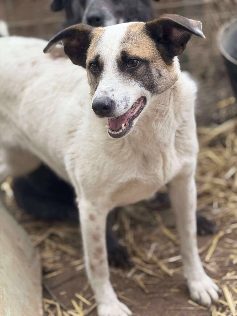 Fb img 1771400961952