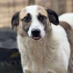 Fb img 1771400964660