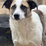 Fb img 1771400967009