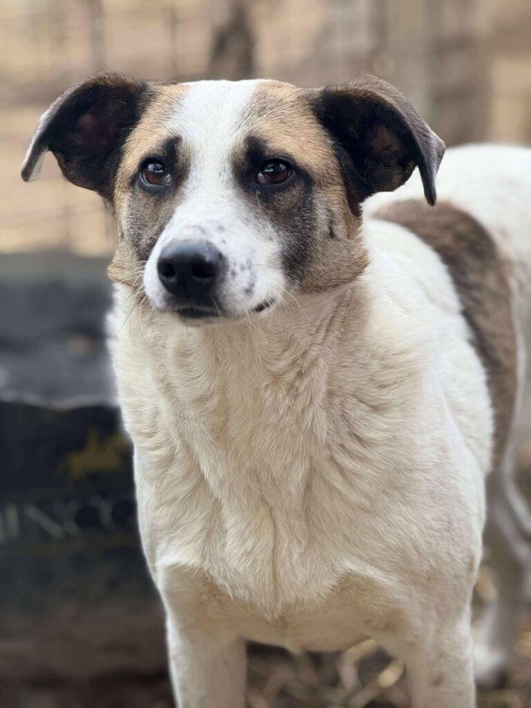 Fb img 1771400967009