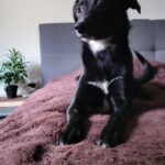 B38d0b3c 83f6 428c bccf b835a20926bd