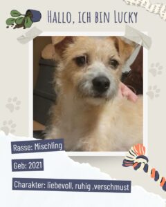 Ba6982e7 0983 43bf b3b8 030e2b51b875