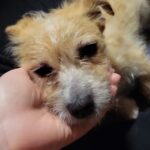 E1d95d20 ace8 40e5 a3c4 24500b669a39