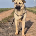 E8a7b97b 745f 45e0 84d9 8a588f7ba5ca