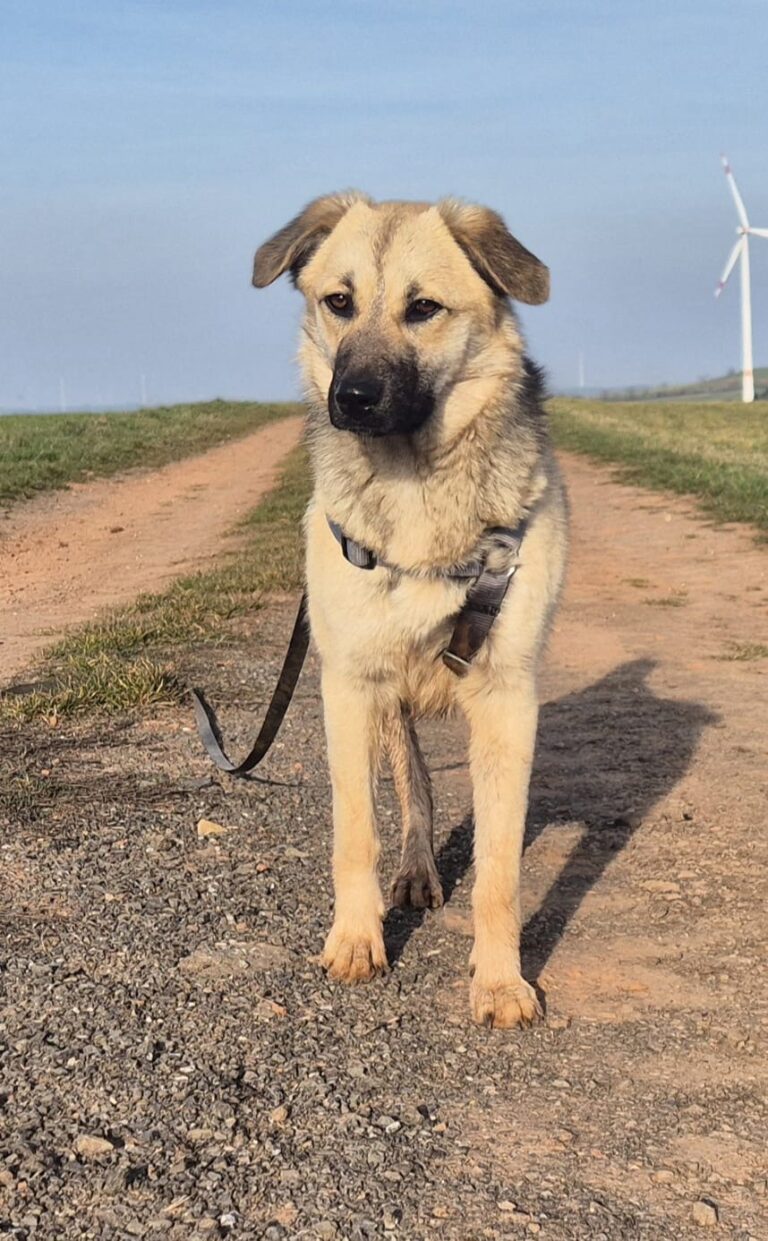 E8a7b97b 745f 45e0 84d9 8a588f7ba5ca