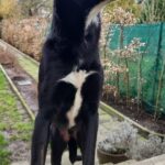 Eb34e1de 3219 42ce 8e27 663f21fc29ee