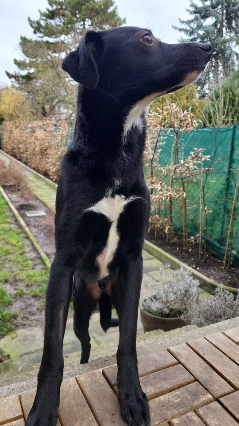 Eb34e1de 3219 42ce 8e27 663f21fc29ee