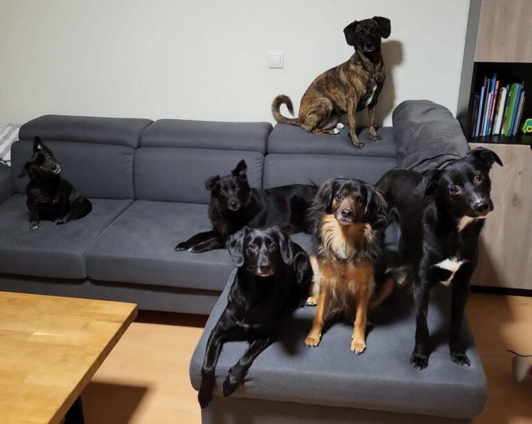 F3d439de 7eae 4166 84b5 0e3e2af6f438