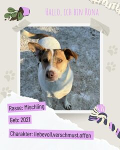 Fd7a64e6 c47b 4137 9931 e7bcac627816