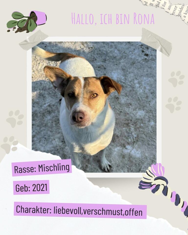 Fd7a64e6 c47b 4137 9931 e7bcac627816