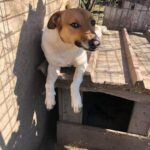 0bf5d494 f761 47f7 b927 228f133c0fb4