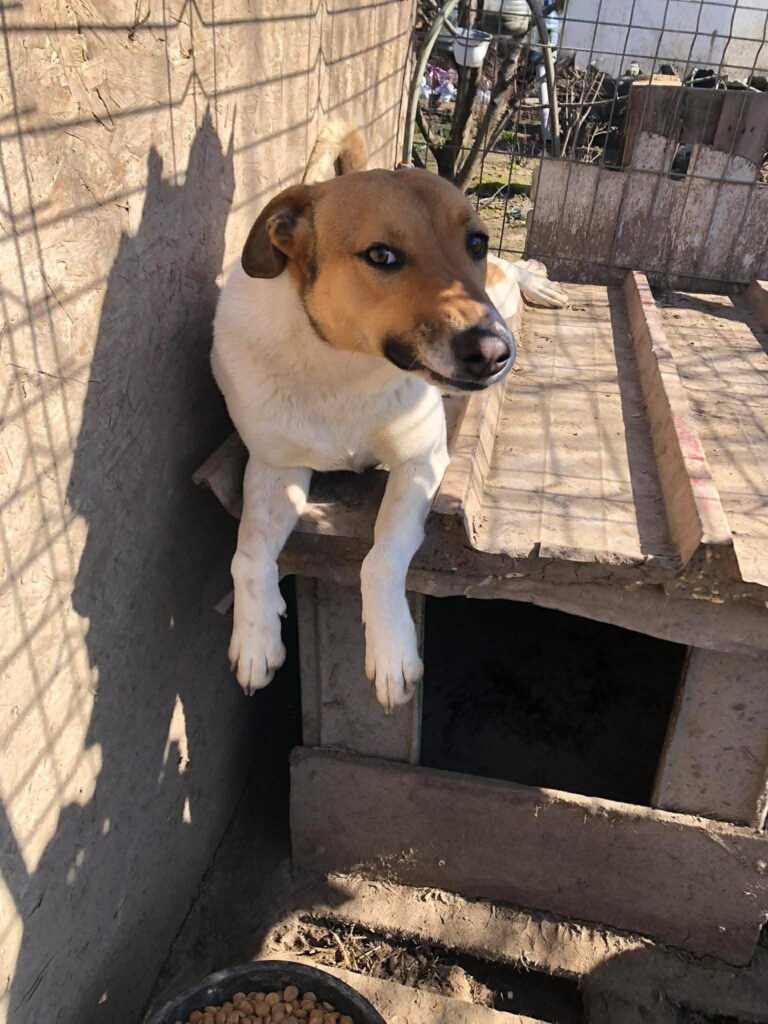 0bf5d494 f761 47f7 b927 228f133c0fb4