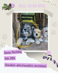 19a8ad02 bb32 487b ba2a 80ad83e83657